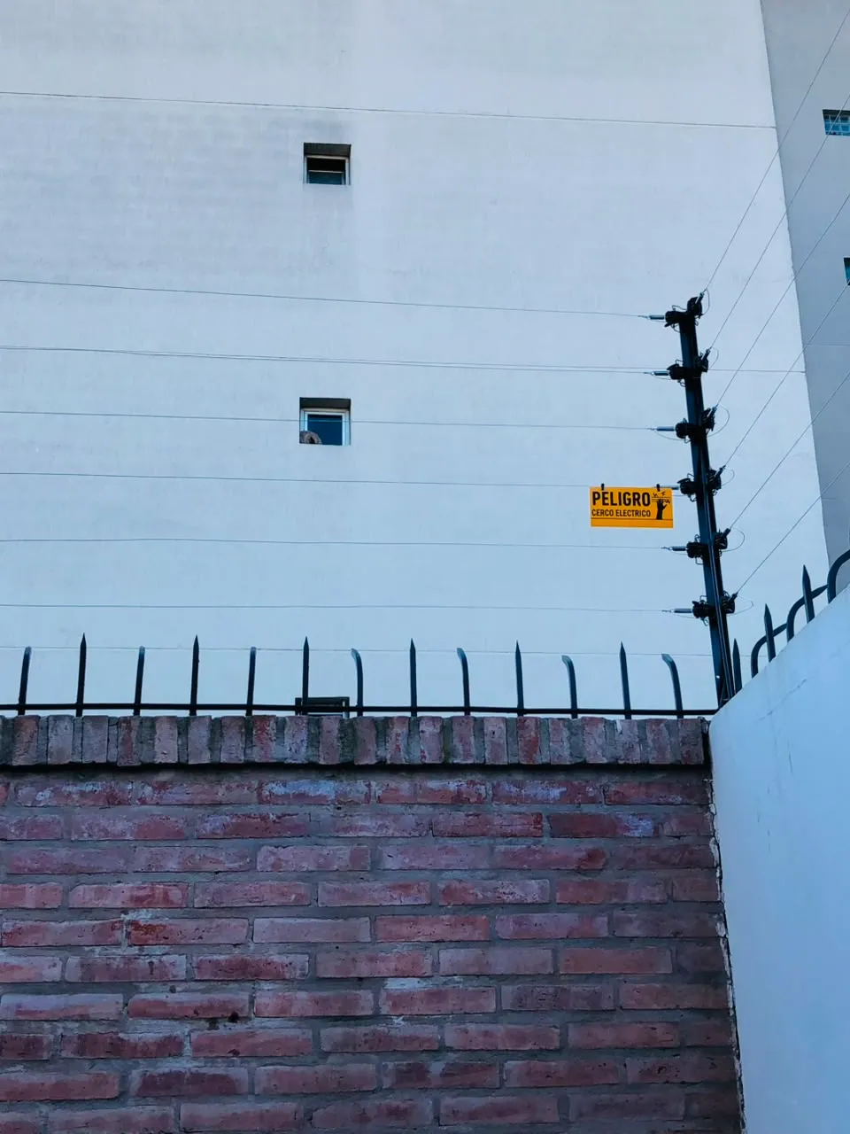 Instalación de cerco eléctrico — foto 1